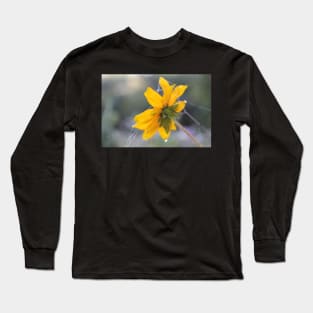 Pretty Home for a Little Spider Long Sleeve T-Shirt